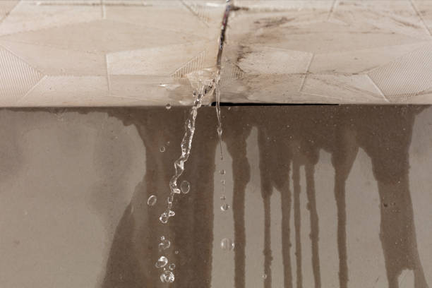 Professional Burst Pipe Cleanup technician working in Shawano, WI